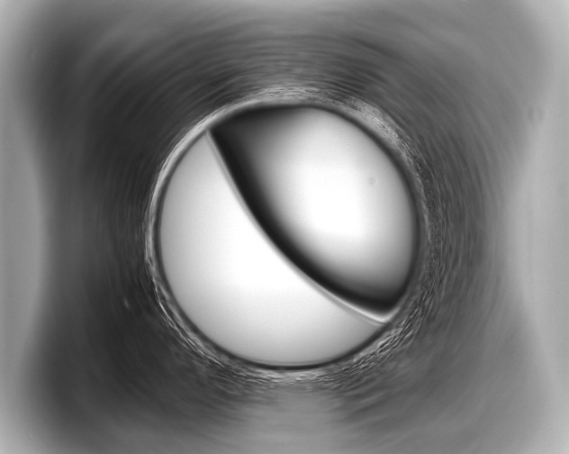 X0000098221296200804241125
