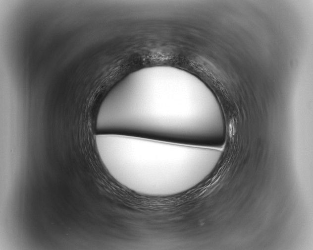 X0000098221299200804241125