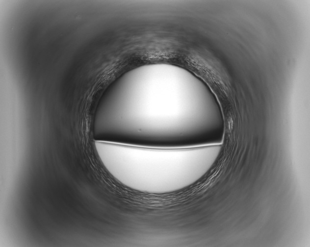 X0000098221300200804241125