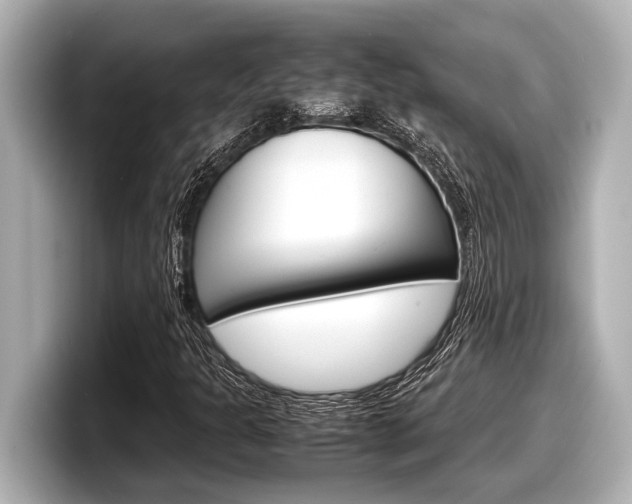 X0000098221301200804241125
