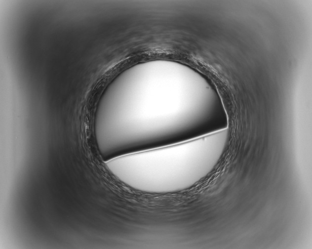 X0000098221303200804241125