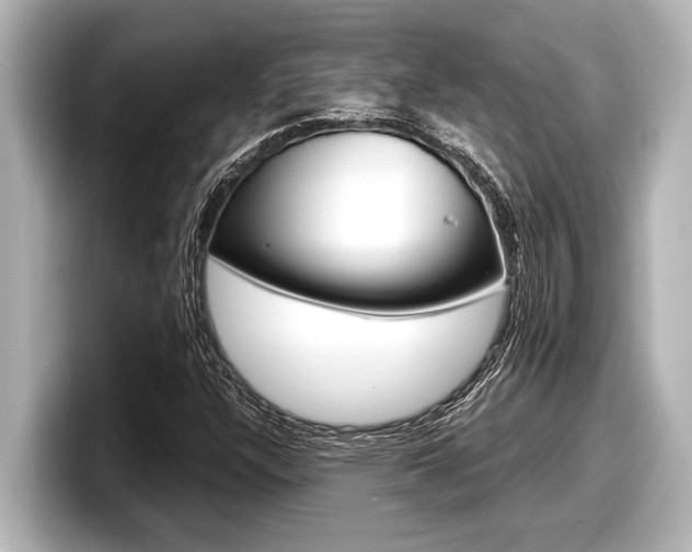 X0000098221304200804241125