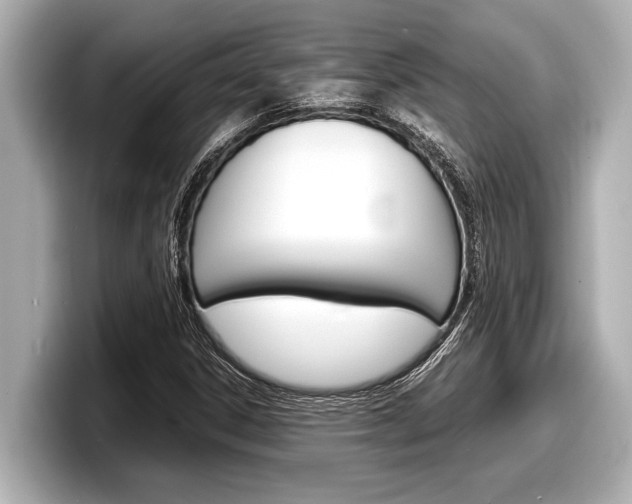 X0000098221306200804241125