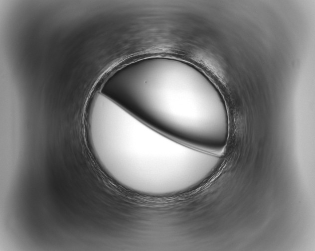 X0000098221308200804241125