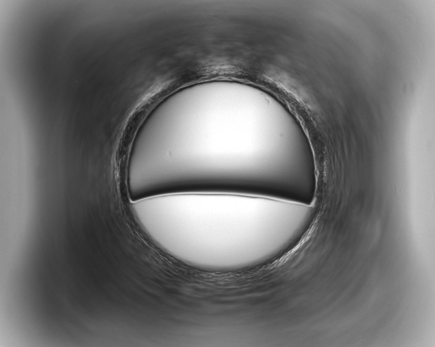X0000098221309200804241125