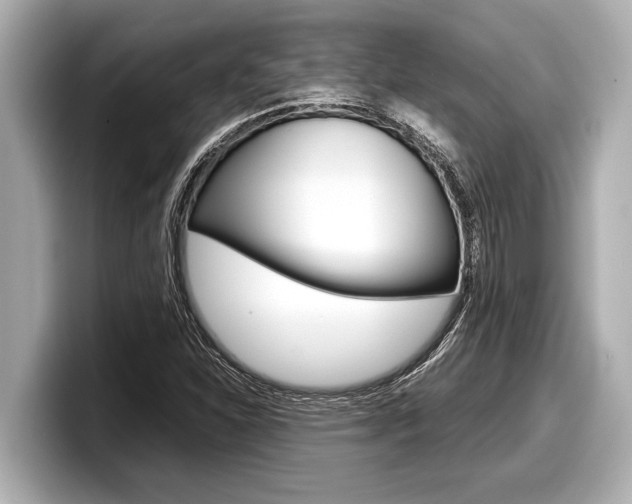 X0000098221310200804241125