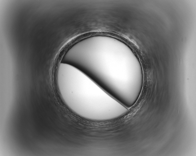 X0000098221311200804241125
