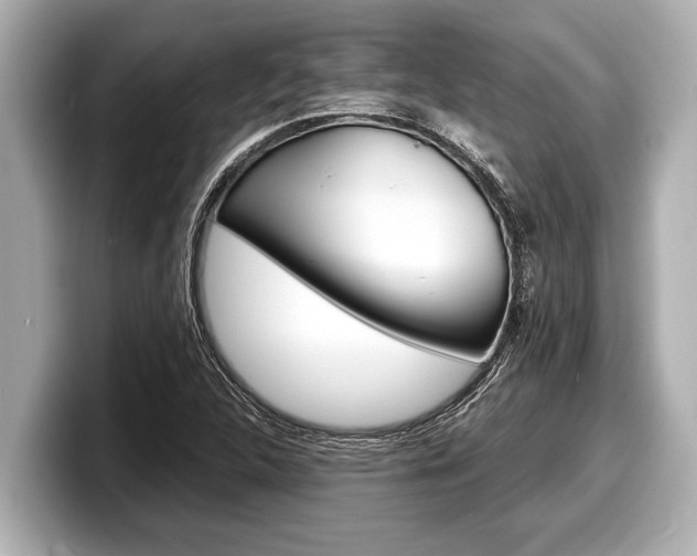 X0000098221312200804241125