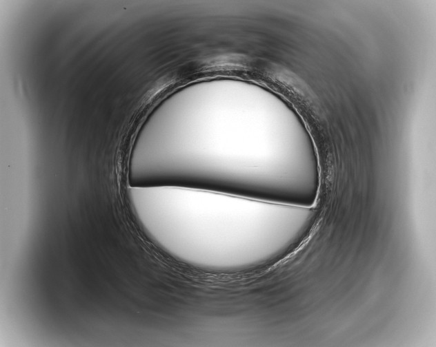 X0000098221313200804241125