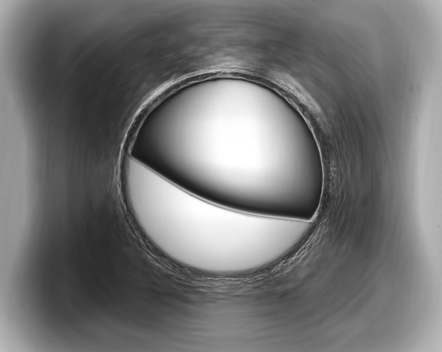 X0000098221316200804241125