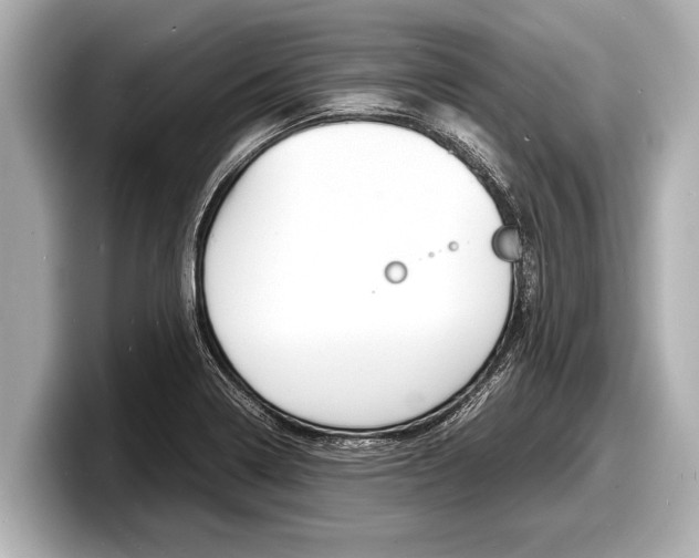 X0000098221322200804241125