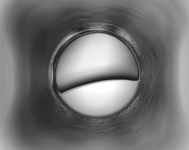 X0000098221323200804241125