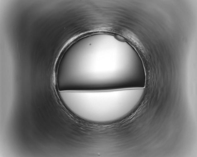 X0000098221324200804241125