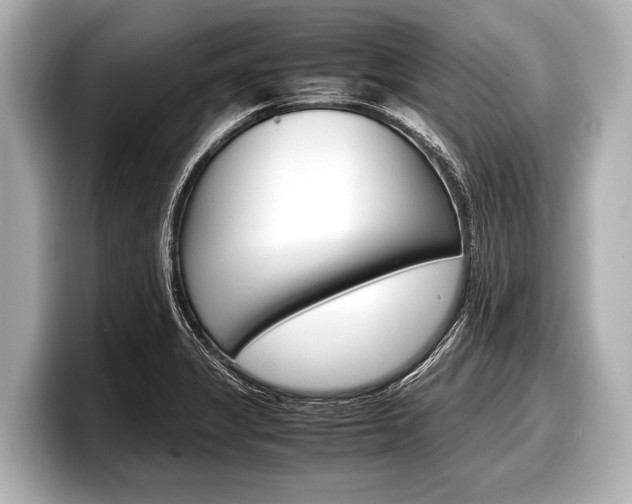 X0000098221325200804241125