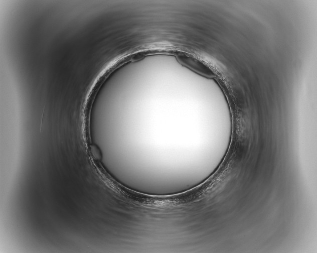 X0000098221326200804241125
