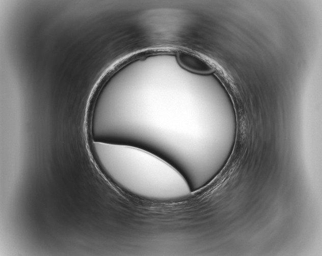 X0000098221327200804241125