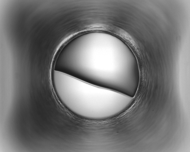 X0000098221328200804241125