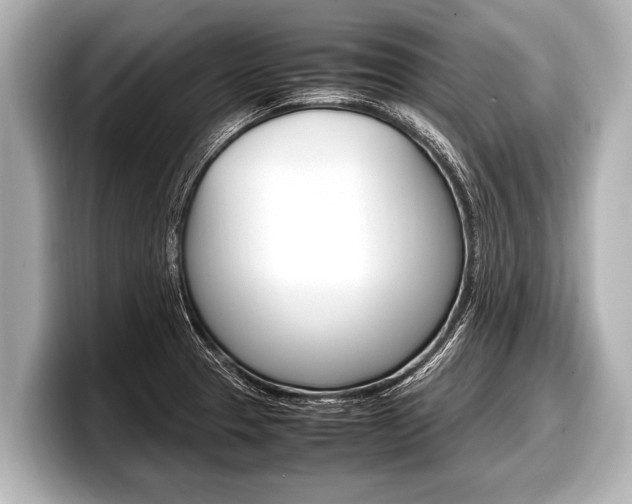 X0000098221329200804241125