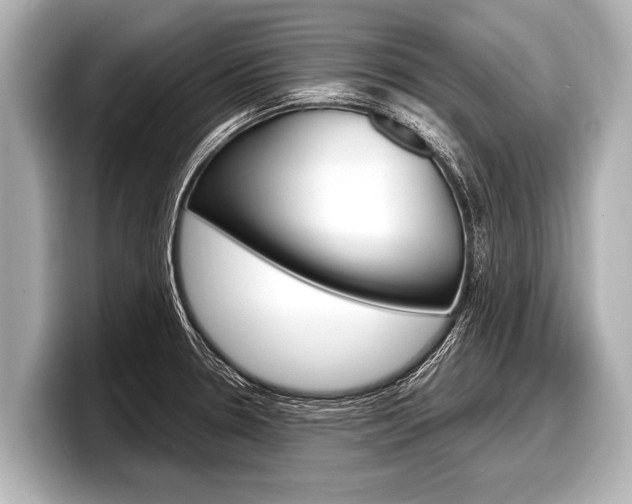 X0000098221330200804241125