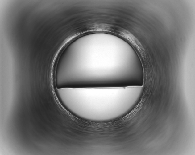 X0000098221331200804241125