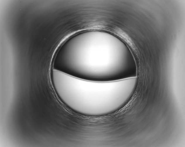 X0000098221332200804241125