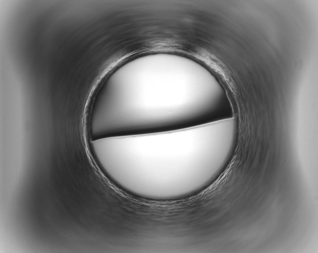 X0000098221333200804241125