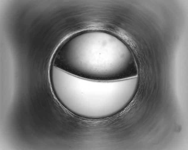 X0000098221334200804241125