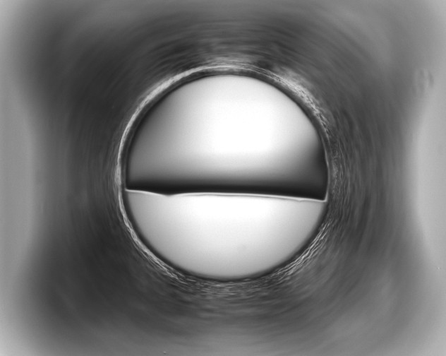 X0000098221335200804241125