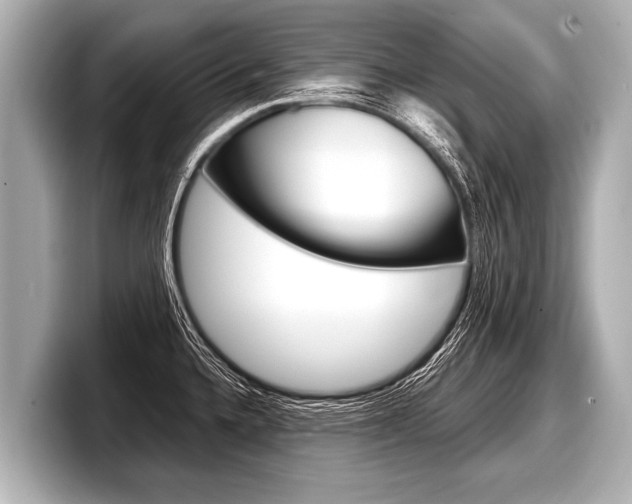 X0000098221336200804241125