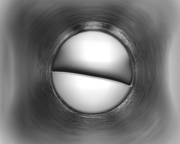 X0000098221337200804241125