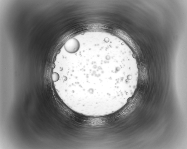 X0000098221338200804241125
