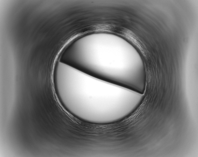 X0000098221339200804241125