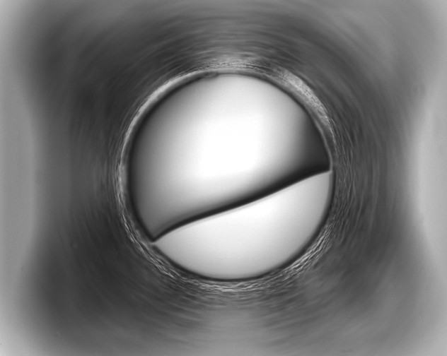X0000098221340200804241125