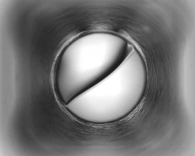 X0000098221341200804241125