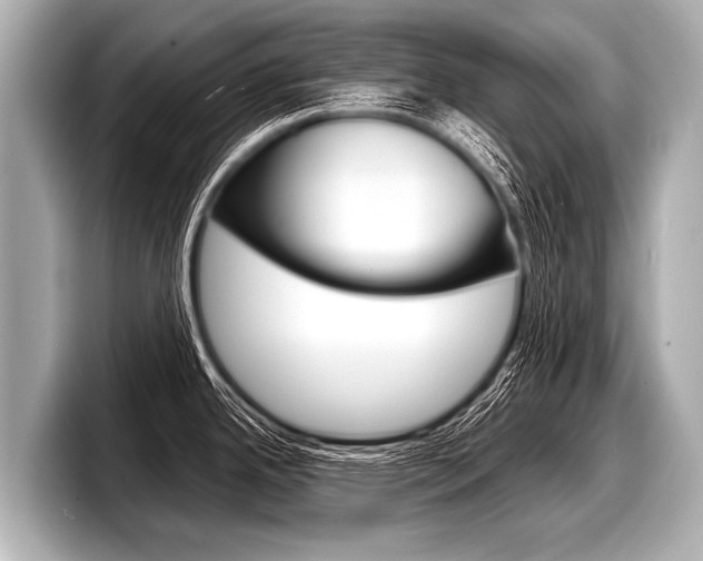 X0000098221342200804241125