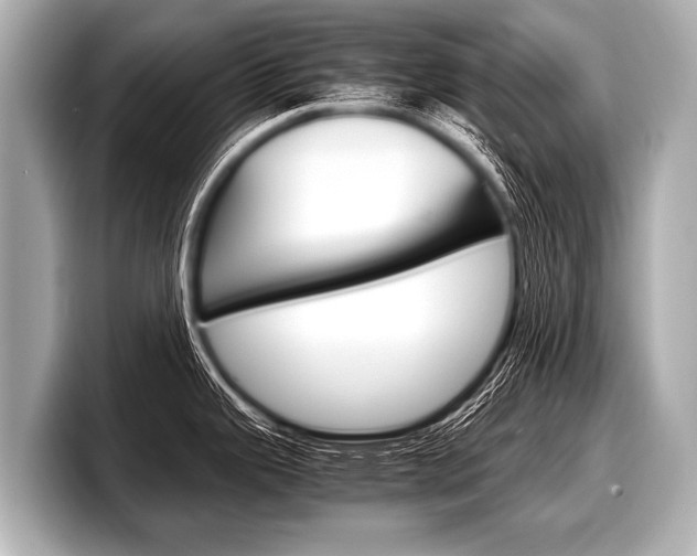 X0000098221343200804241125
