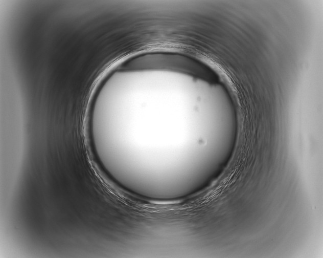 X0000098221344200804241125
