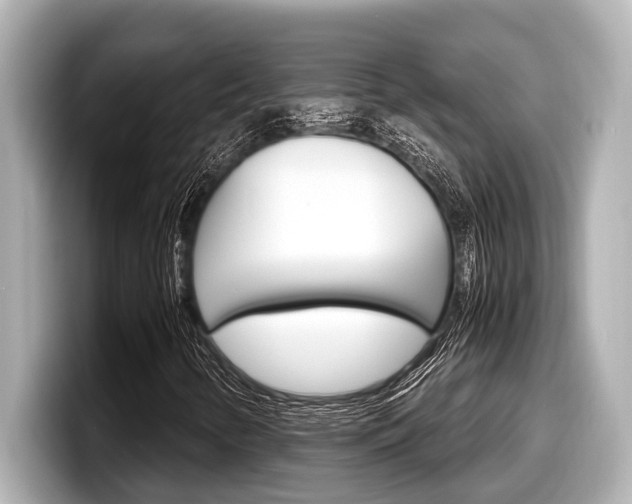 X0000098221346200804241125