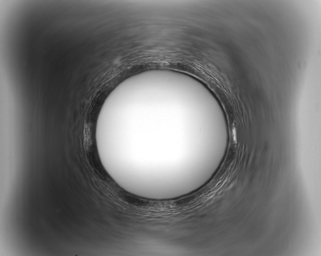 X0000098221347200804241125