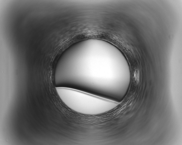 X0000098221348200804241125