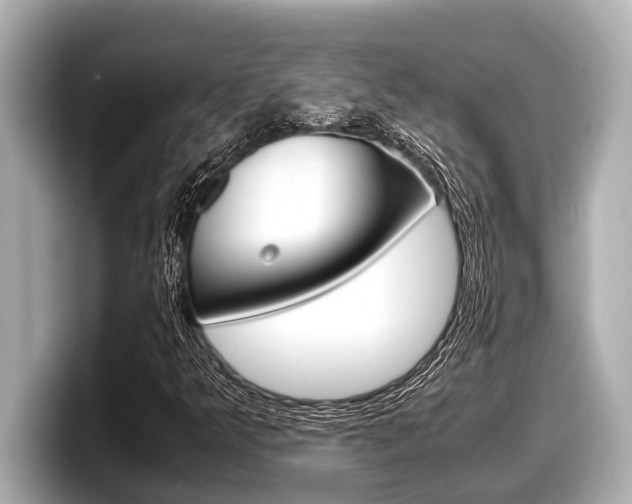 X0000098221349200804241125