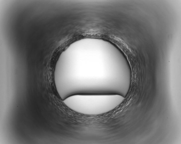 X0000098221350200804241125