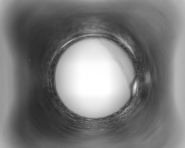 X0000098221352200804241125