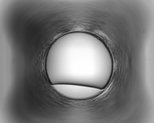 X0000098221353200804241125