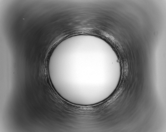 X0000098221354200804241125