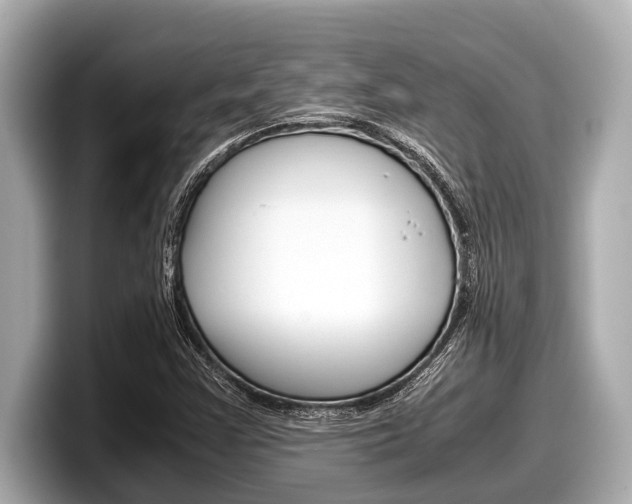 X0000098221355200804241124