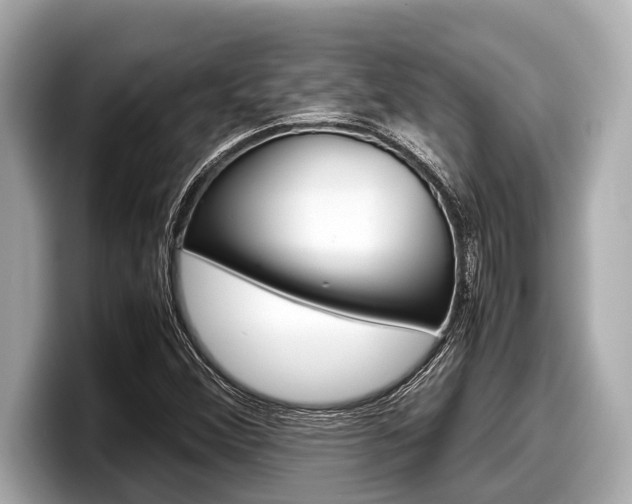 X0000098221356200804241124