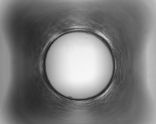 X0000098221357200804241124