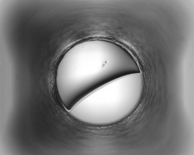 X0000098221359200804241124