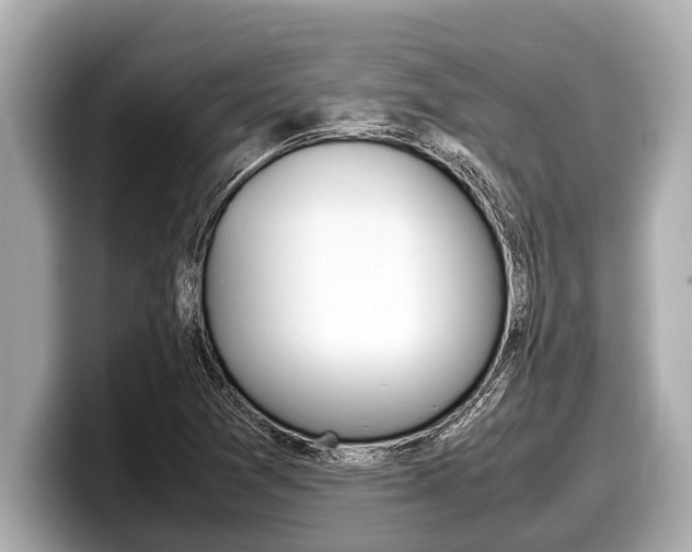 X0000098221361200804241124